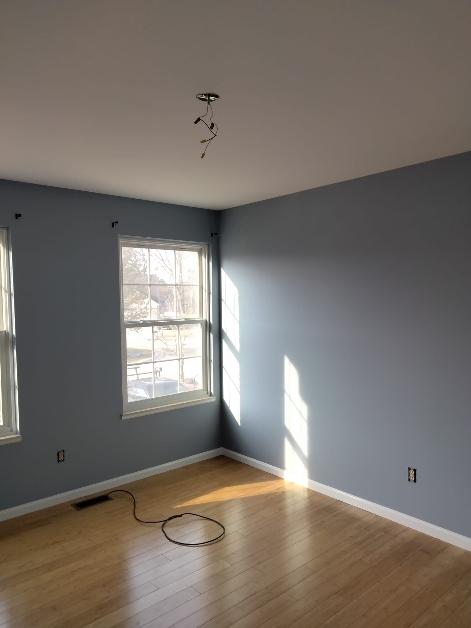 Painting Project