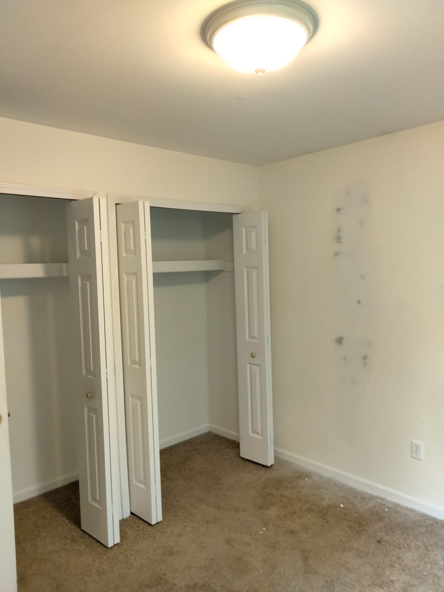 Painting Project