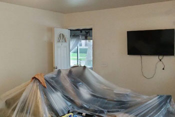 Painting Project